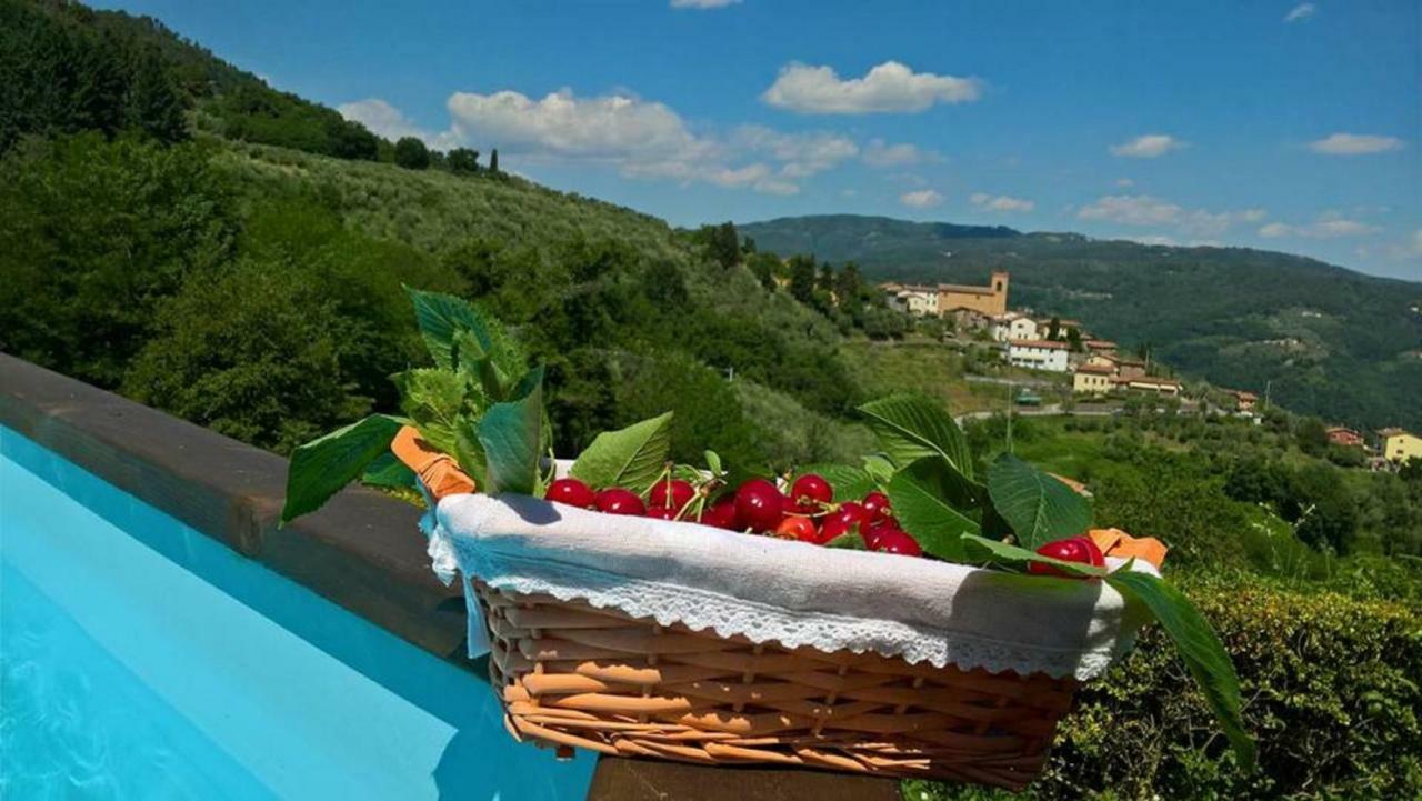 Podere Gianpaolo Pescia Exterior photo